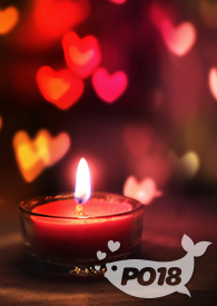 我和校园男神相处的秘诀免费阅读